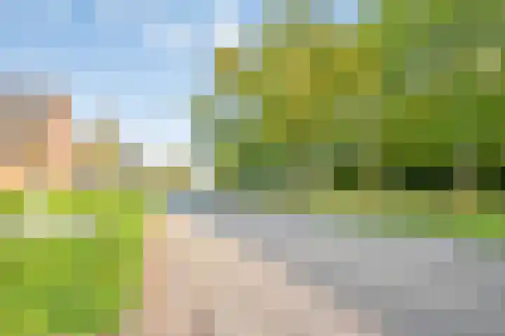 D'Oultremontweg 2 A Elshout thumbnail 53