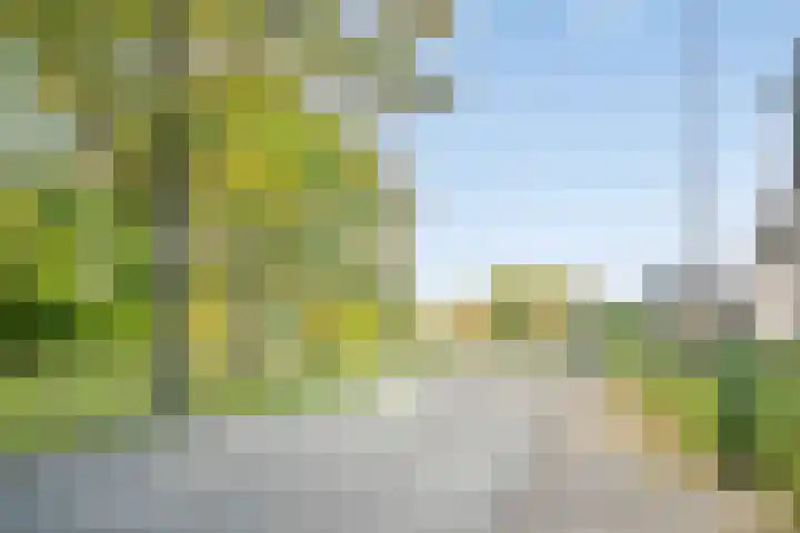 D'Oultremontweg 2 A Elshout thumbnail 54
