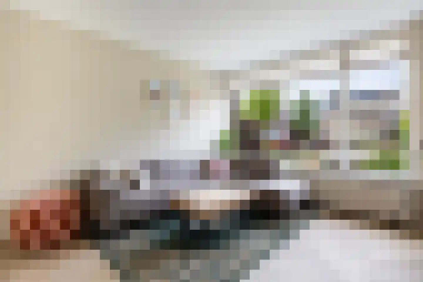 D.S. Bangmastrjitte 46 Reduzum thumbnail 13