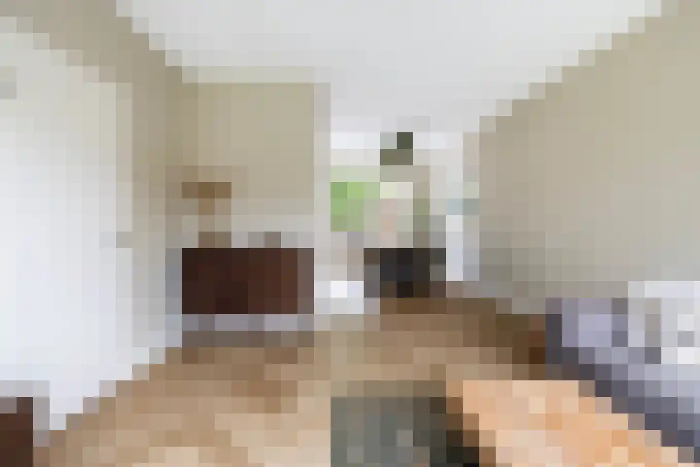 D.S. Bangmastrjitte 46 Reduzum thumbnail 15