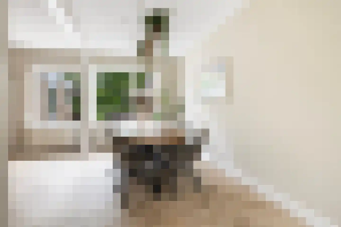 D.S. Bangmastrjitte 46 Reduzum thumbnail 17