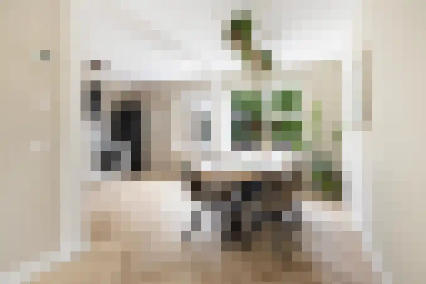 D.S. Bangmastrjitte 46 Reduzum thumbnail 18