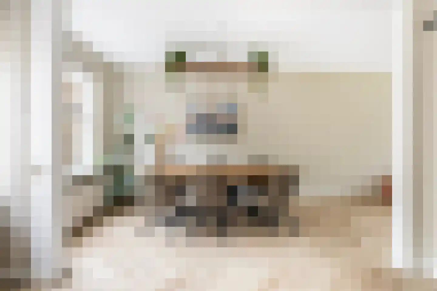 D.S. Bangmastrjitte 46 Reduzum thumbnail 24