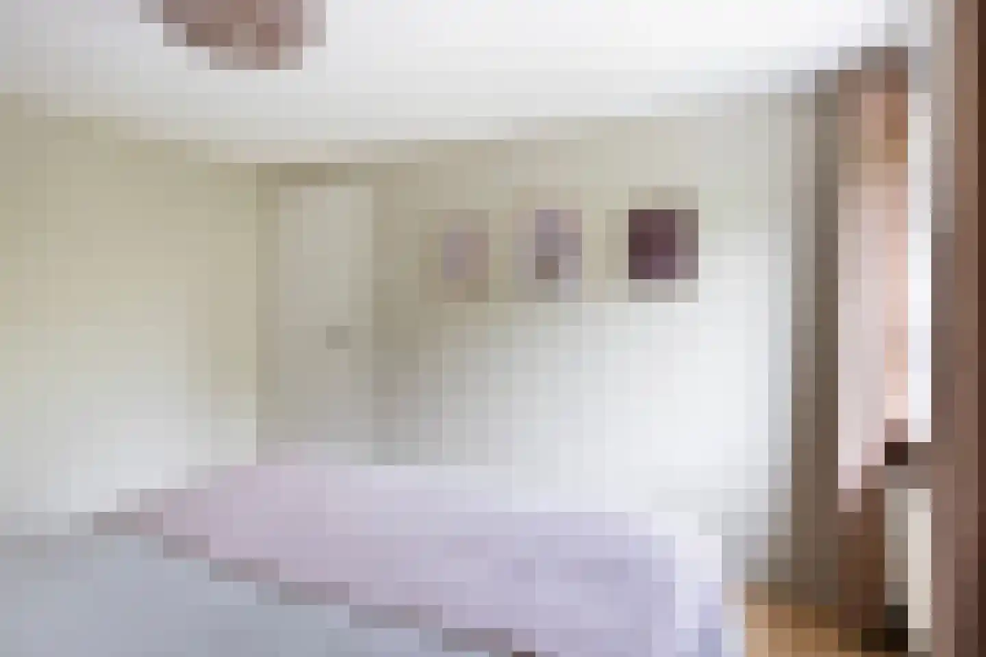 D.S. Bangmastrjitte 46 Reduzum thumbnail 29