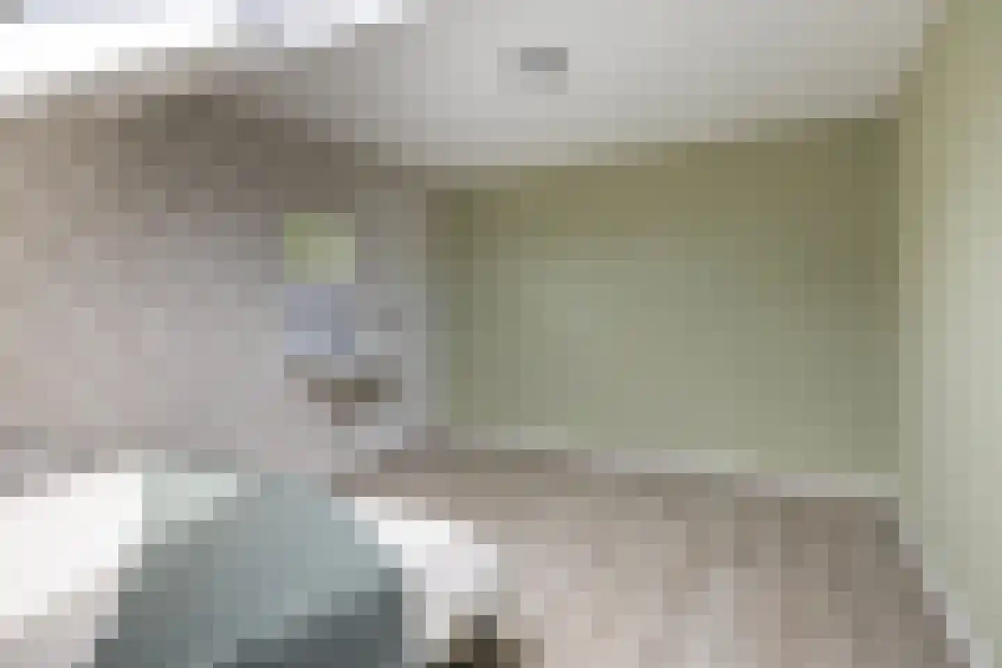 D.S. Bangmastrjitte 46 Reduzum thumbnail 33