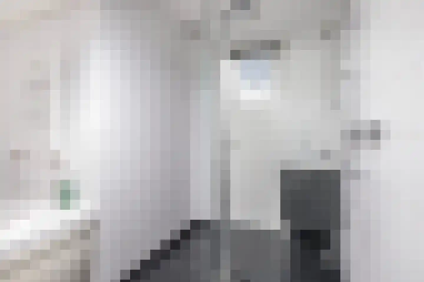 D.S. Bangmastrjitte 46 Reduzum thumbnail 39