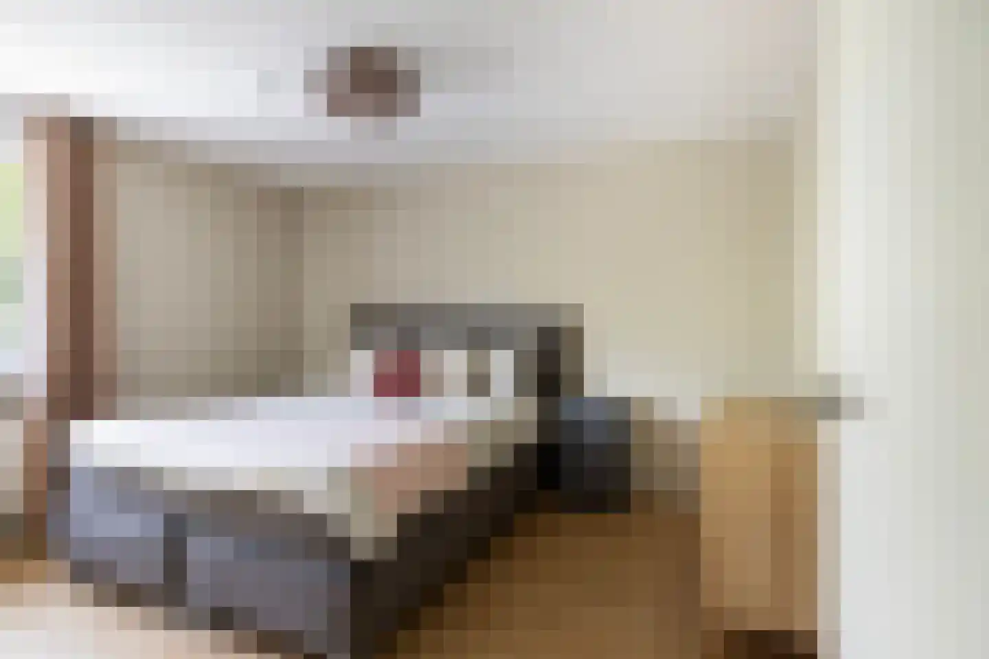 D.S. Bangmastrjitte 46 Reduzum thumbnail 4