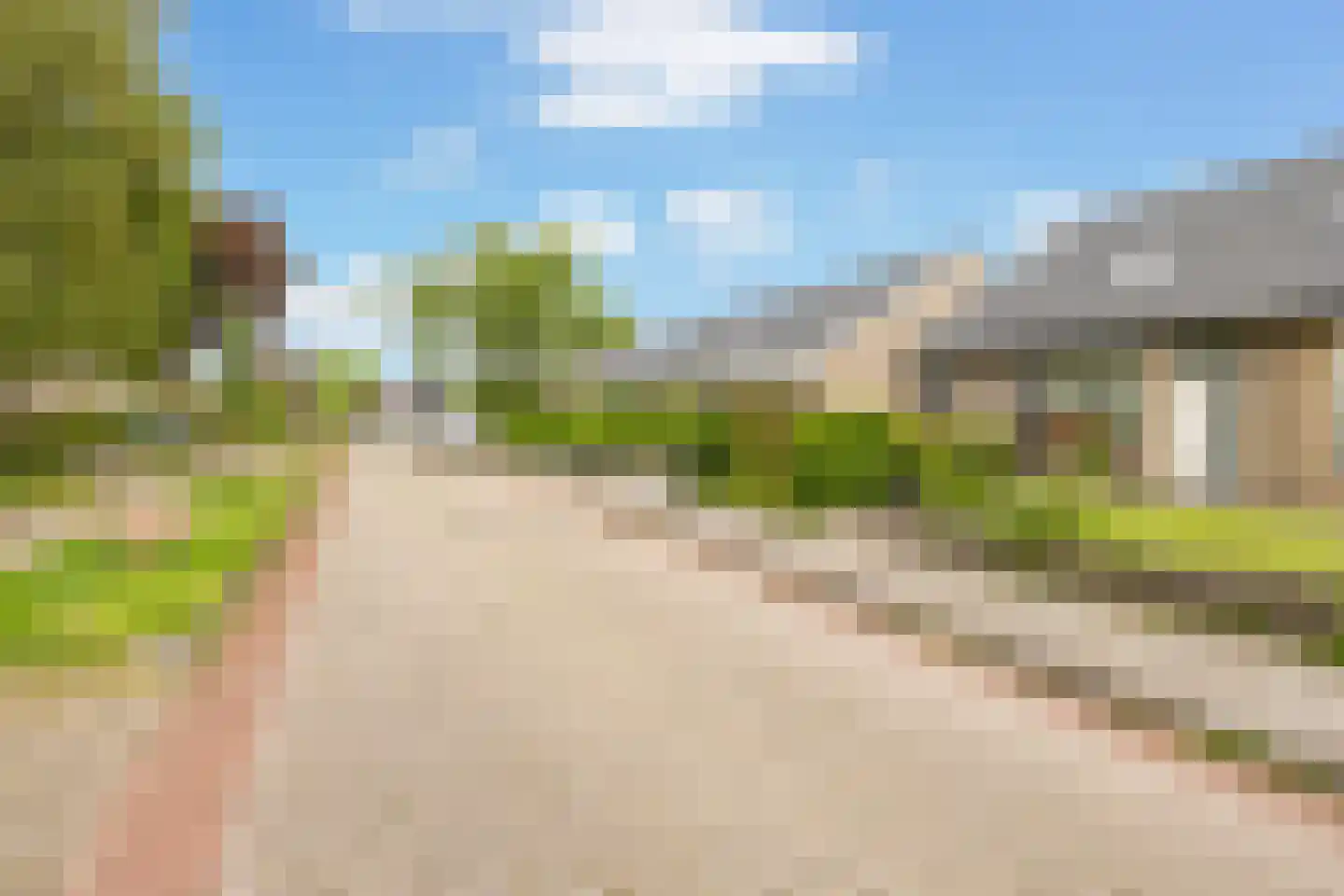 D.S. Bangmastrjitte 46 Reduzum thumbnail 7