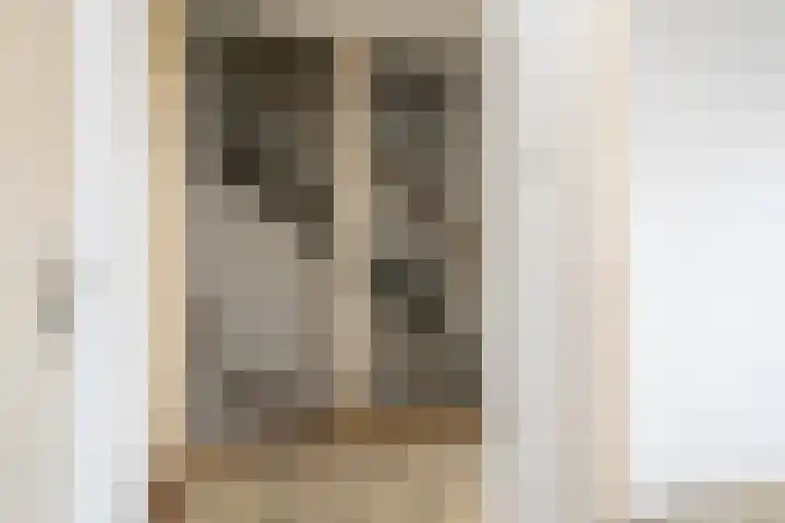 D.S. Bangmastrjitte 81 Reduzum thumbnail 13