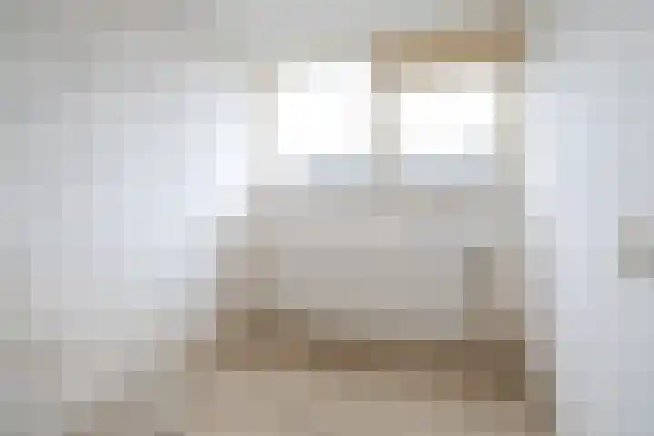 D.S. Bangmastrjitte 81 Reduzum thumbnail 14