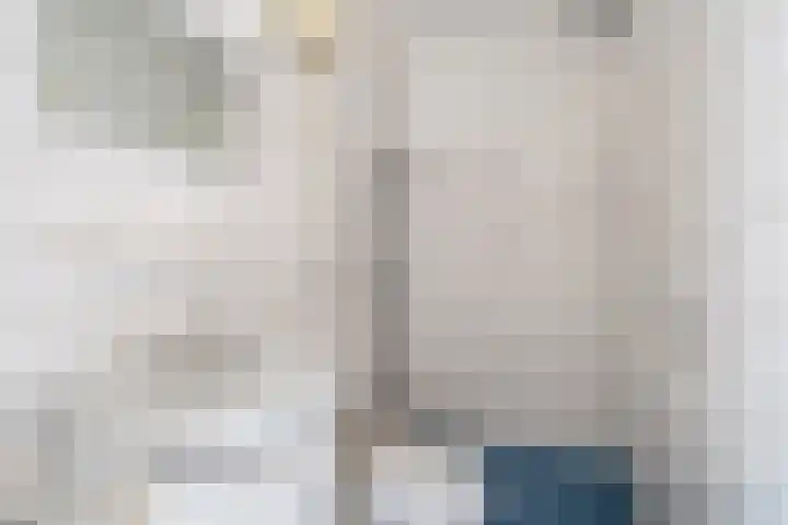 D.S. Bangmastrjitte 81 Reduzum thumbnail 17