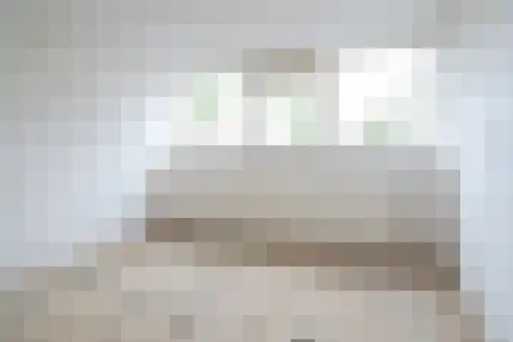 D.S. Bangmastrjitte 81 Reduzum thumbnail 18