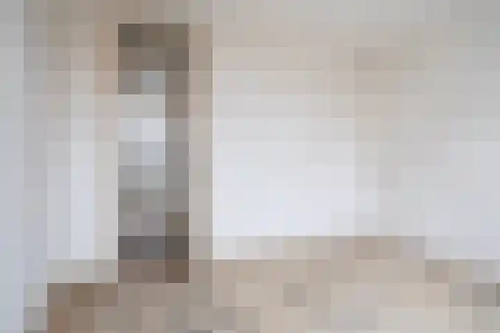 D.S. Bangmastrjitte 81 Reduzum thumbnail 20