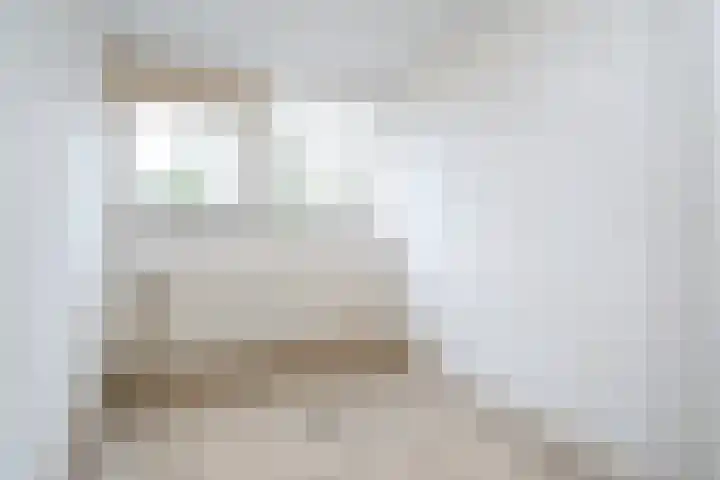 D.S. Bangmastrjitte 81 Reduzum thumbnail 21