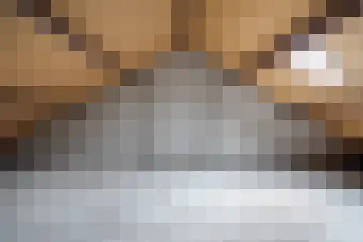 D.S. Bangmastrjitte 81 Reduzum thumbnail 22