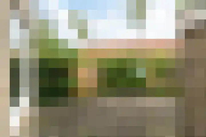 D.S. Bangmastrjitte 81 Reduzum thumbnail 25