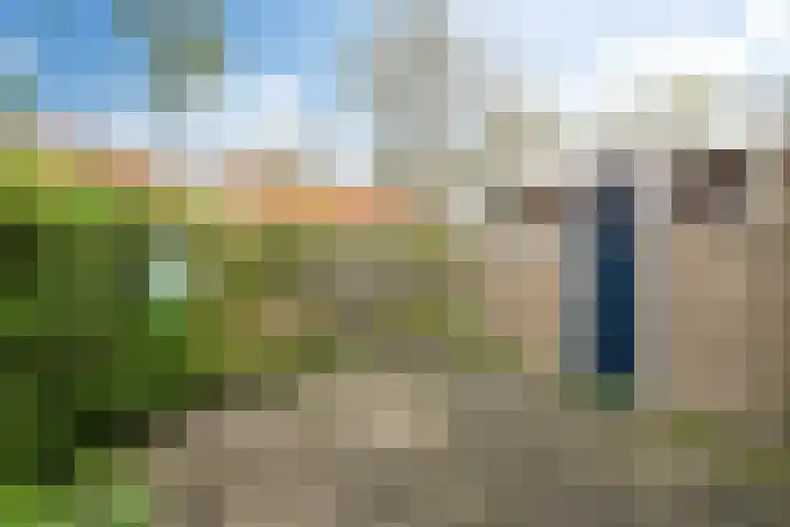 D.S. Bangmastrjitte 81 Reduzum thumbnail 26