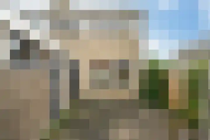 D.S. Bangmastrjitte 81 Reduzum thumbnail 27