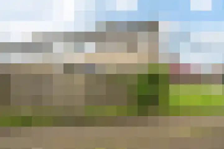 D.S. Bangmastrjitte 81 Reduzum thumbnail 28
