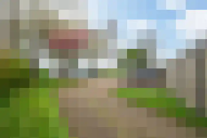 D.S. Bangmastrjitte 81 Reduzum thumbnail 29