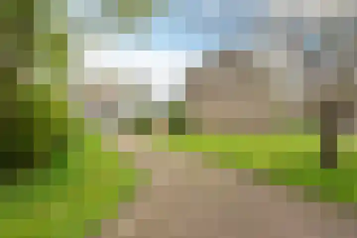 D.S. Bangmastrjitte 81 Reduzum thumbnail 30