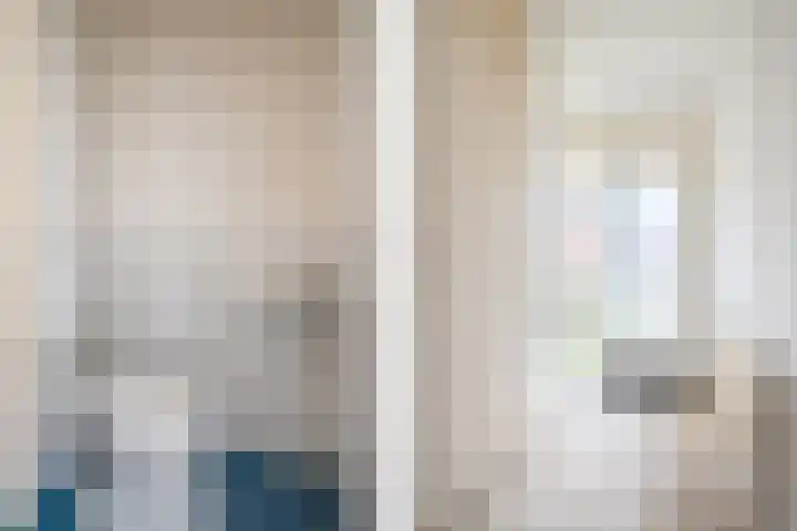 D.S. Bangmastrjitte 81 Reduzum thumbnail 4