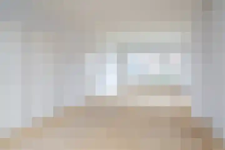 D.S. Bangmastrjitte 81 Reduzum thumbnail 7