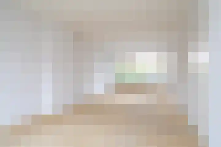 D.S. Bangmastrjitte 81 Reduzum thumbnail 9
