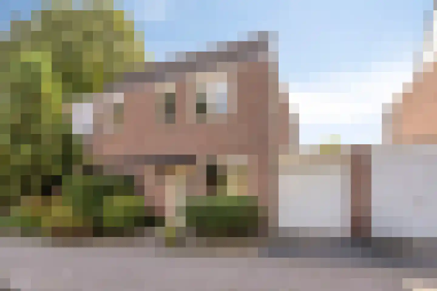 D.S. van Schuppenstraat 19 in Veenendaal