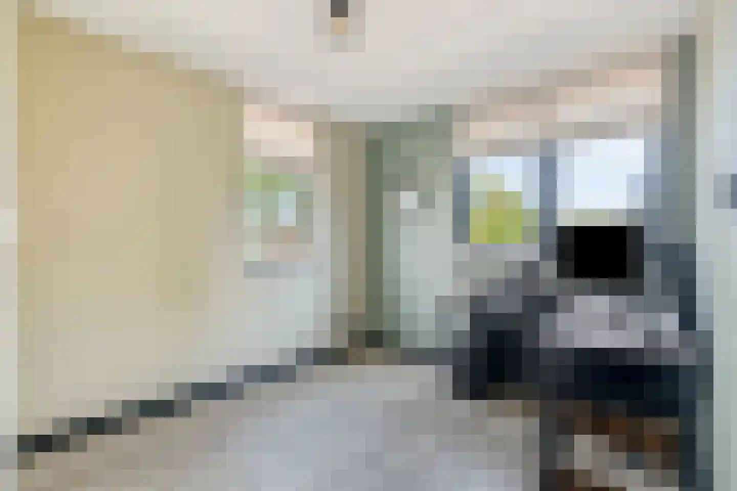D.S. van Schuppenstraat 19 Veenendaal thumbnail 16