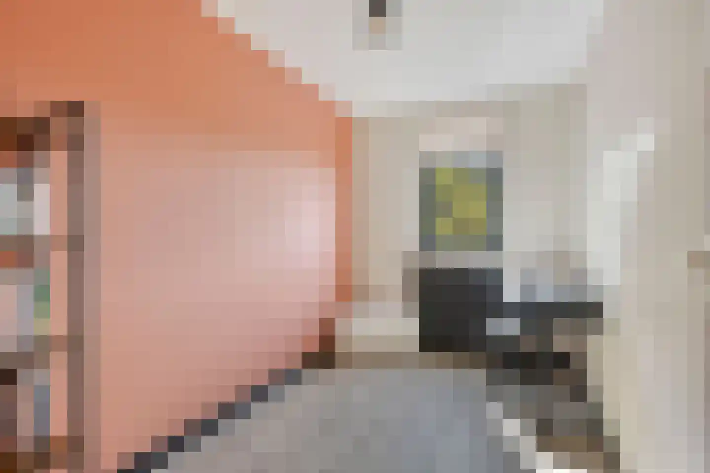 D.S. van Schuppenstraat 19 Veenendaal thumbnail 18