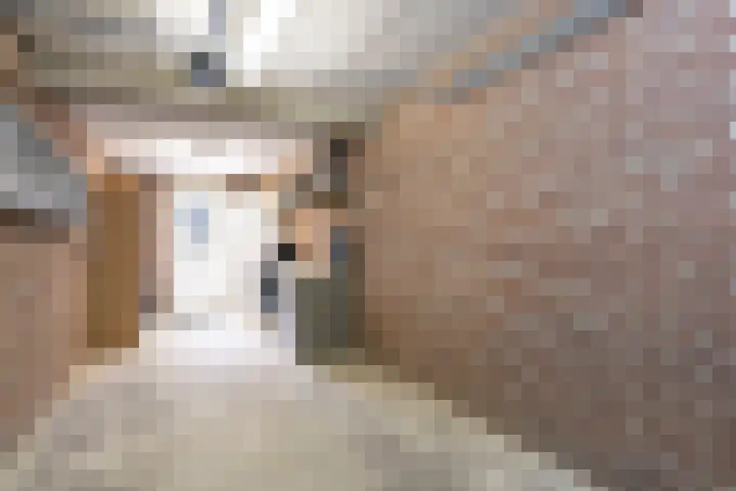 D.S. van Schuppenstraat 19 Veenendaal thumbnail 27