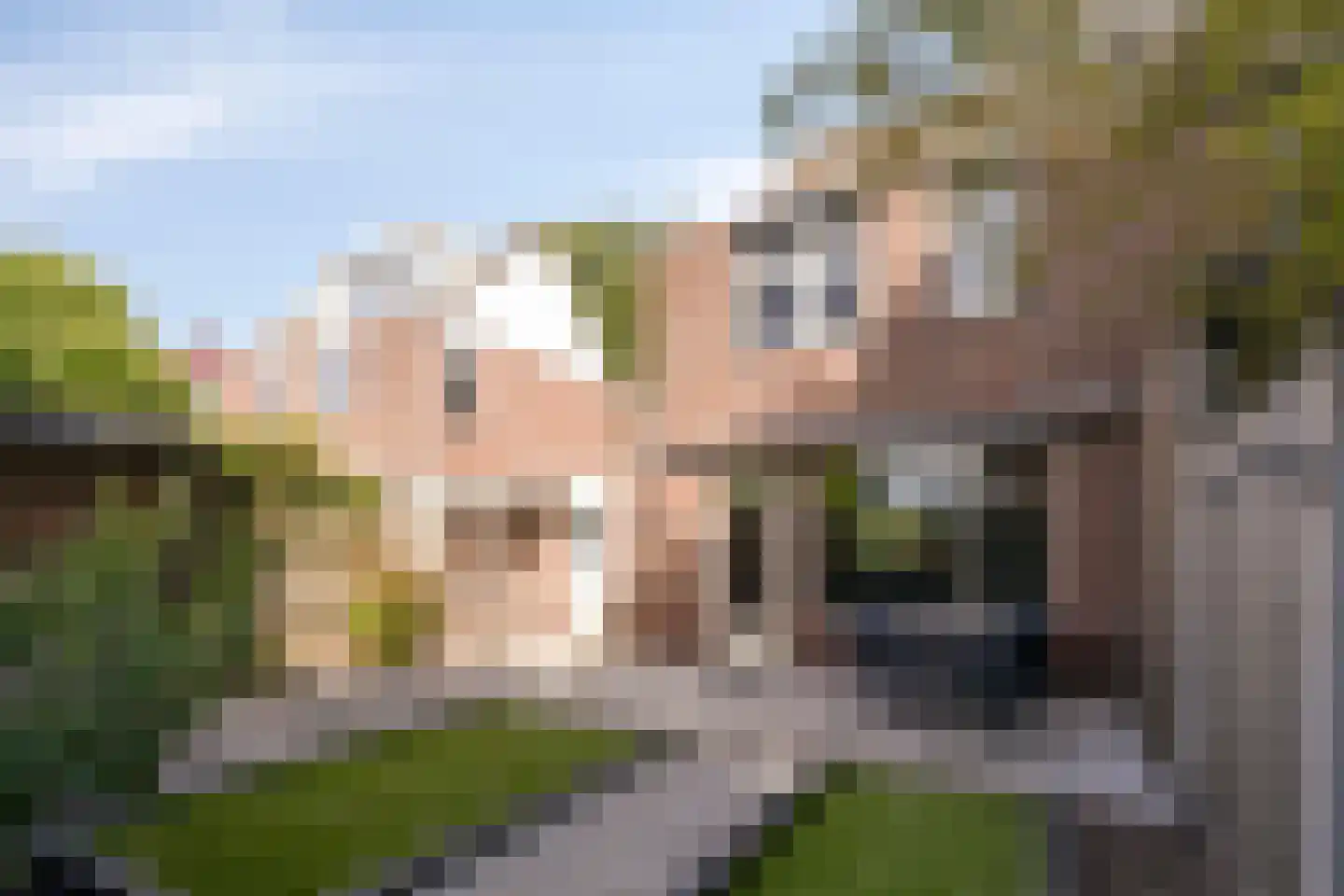 D.S. van Schuppenstraat 19 Veenendaal thumbnail 31