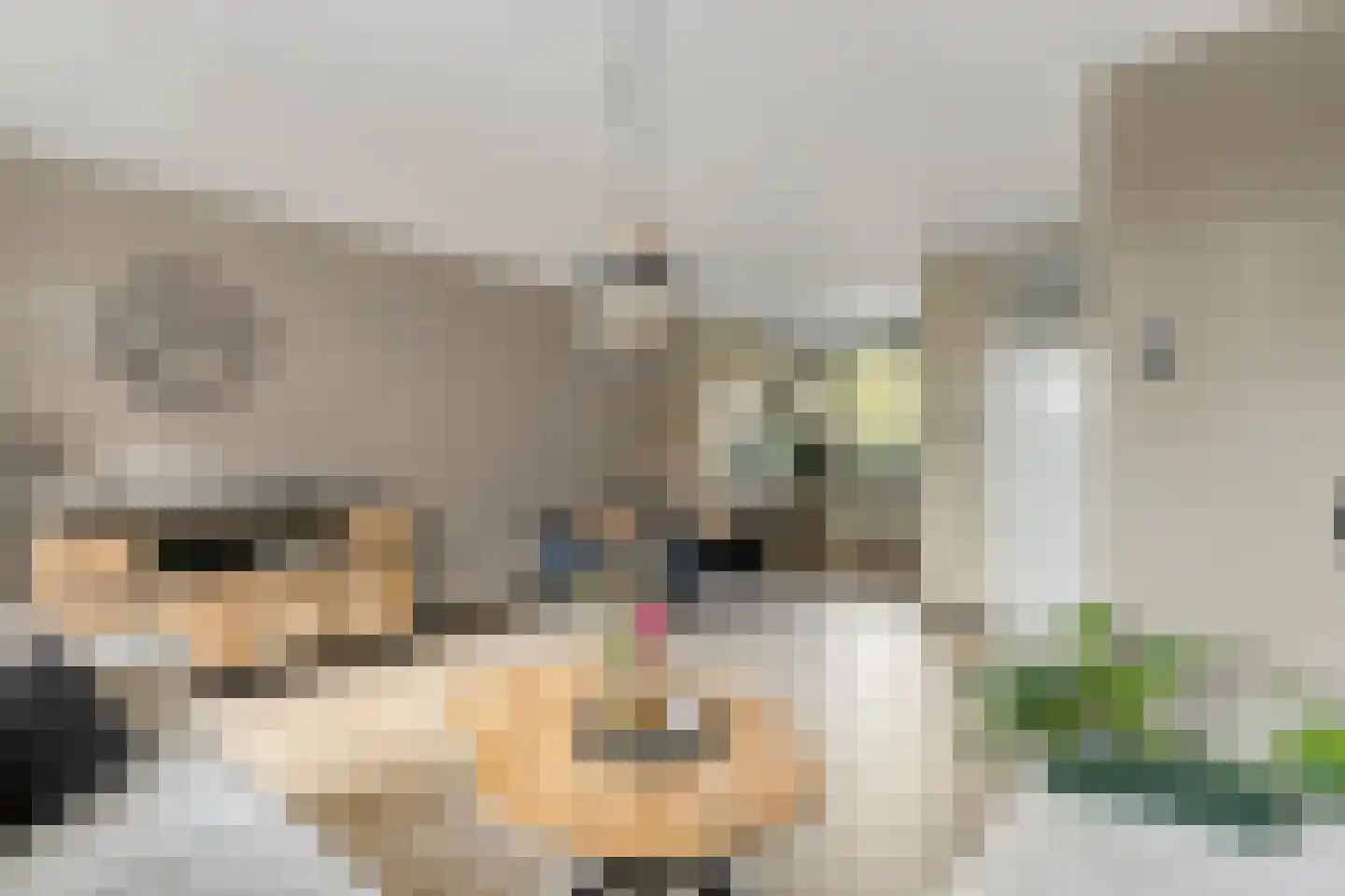 D.S. van Schuppenstraat 19 Veenendaal thumbnail 5