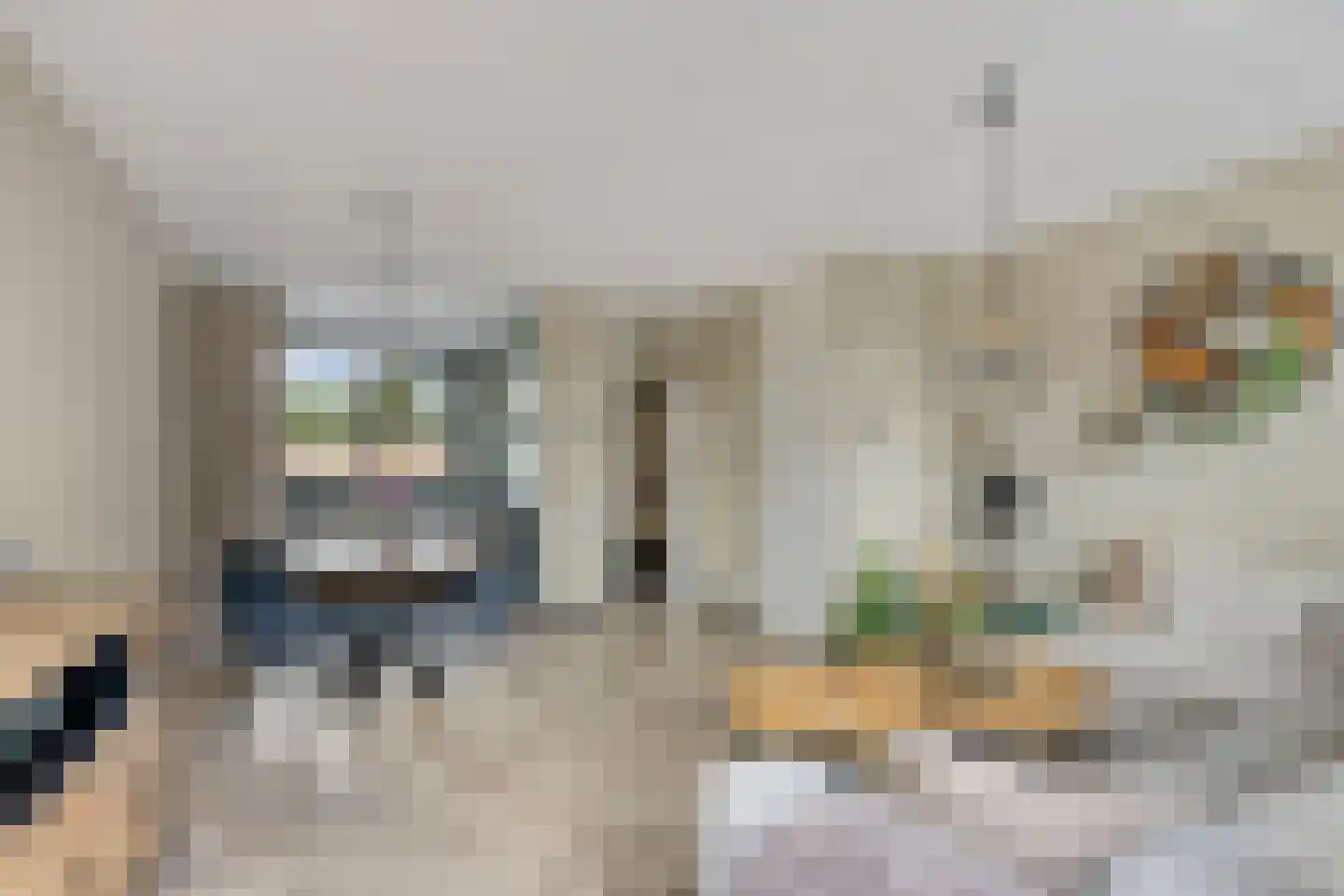 D.S. van Schuppenstraat 19 Veenendaal thumbnail 6