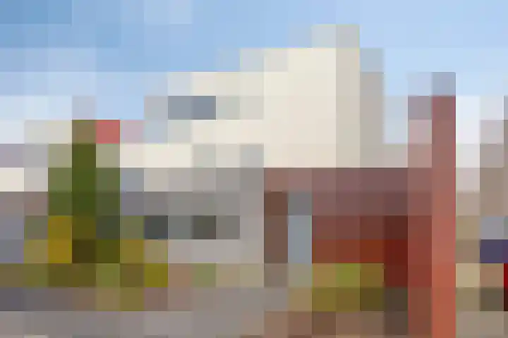 D. Schellincxstraat 31 Spijkenisse