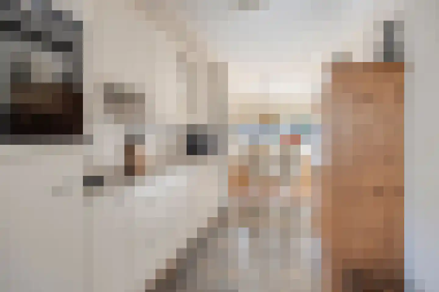 D. Schellincxstraat 31 Spijkenisse thumbnail 10