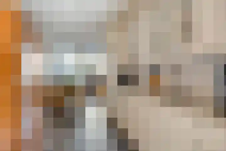 D. Schellincxstraat 31 Spijkenisse thumbnail 11