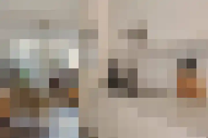 D. Schellincxstraat 31 Spijkenisse thumbnail 13