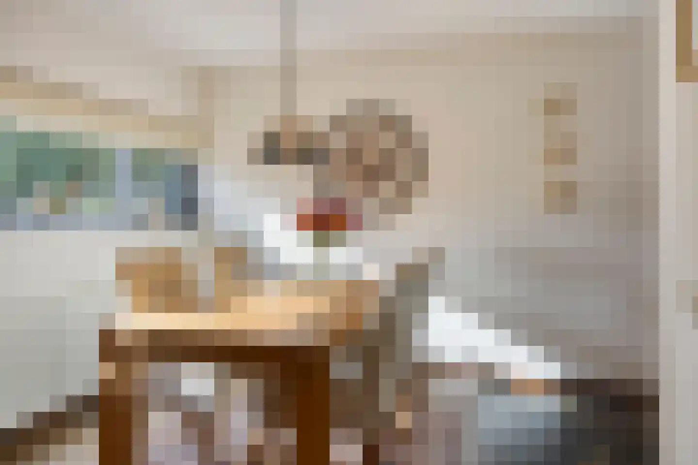 D. Schellincxstraat 31 Spijkenisse thumbnail 14