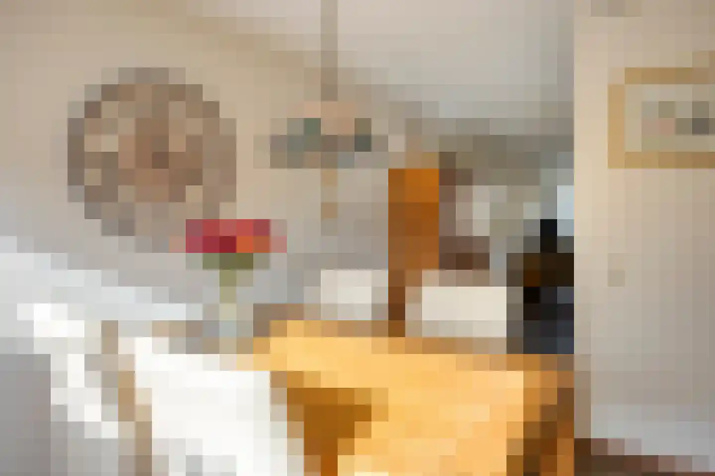 D. Schellincxstraat 31 Spijkenisse thumbnail 15