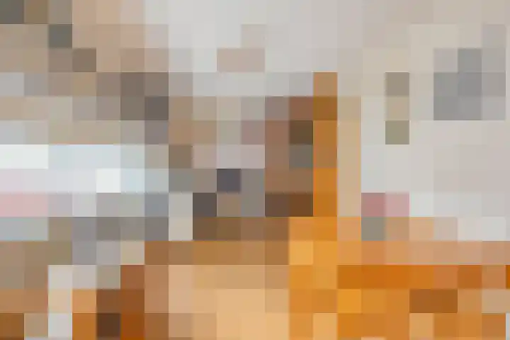 D. Schellincxstraat 31 Spijkenisse thumbnail 16