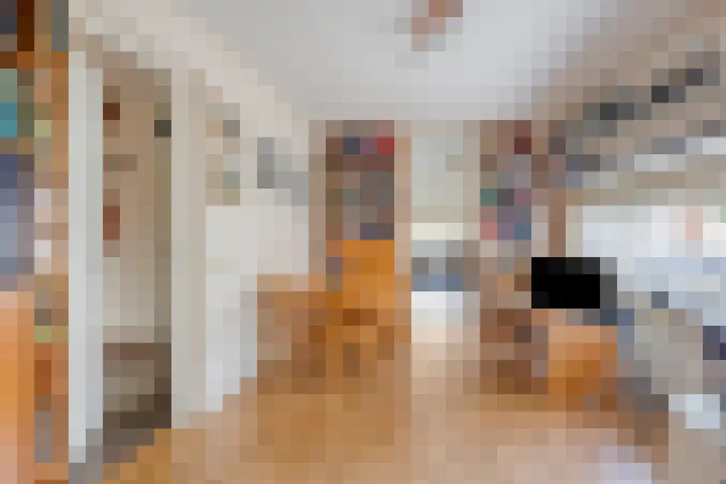 D. Schellincxstraat 31 Spijkenisse thumbnail 17