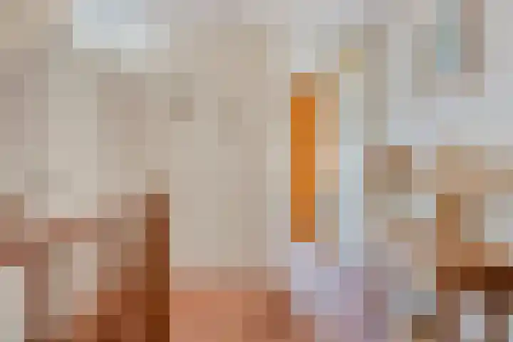 D. Schellincxstraat 31 Spijkenisse thumbnail 19