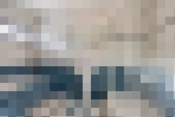 D. Schellincxstraat 31 Spijkenisse thumbnail 20
