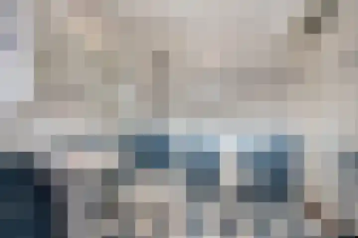 D. Schellincxstraat 31 Spijkenisse thumbnail 21