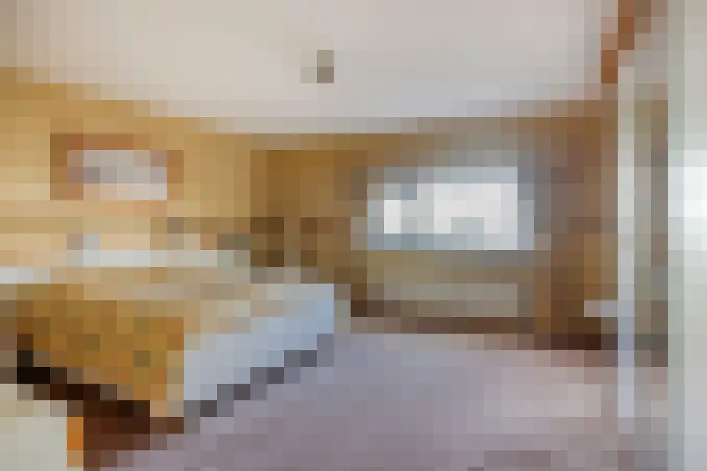 D. Schellincxstraat 31 Spijkenisse thumbnail 24