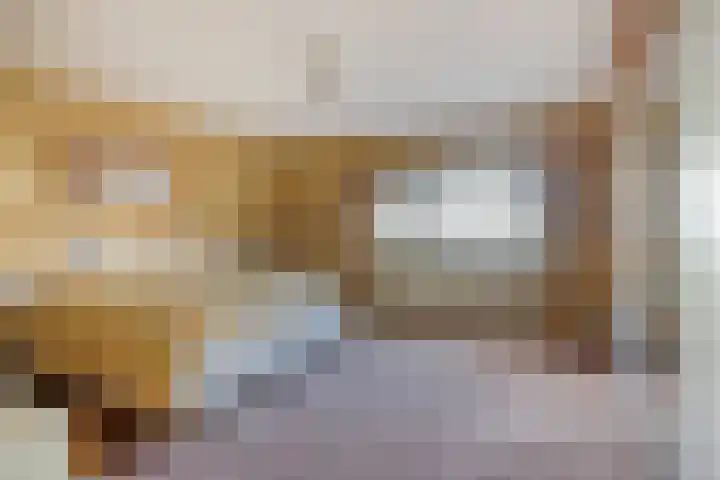 D. Schellincxstraat 31 Spijkenisse thumbnail 24