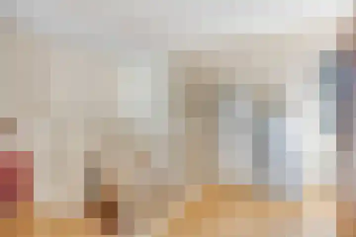 D. Schellincxstraat 31 Spijkenisse thumbnail 29