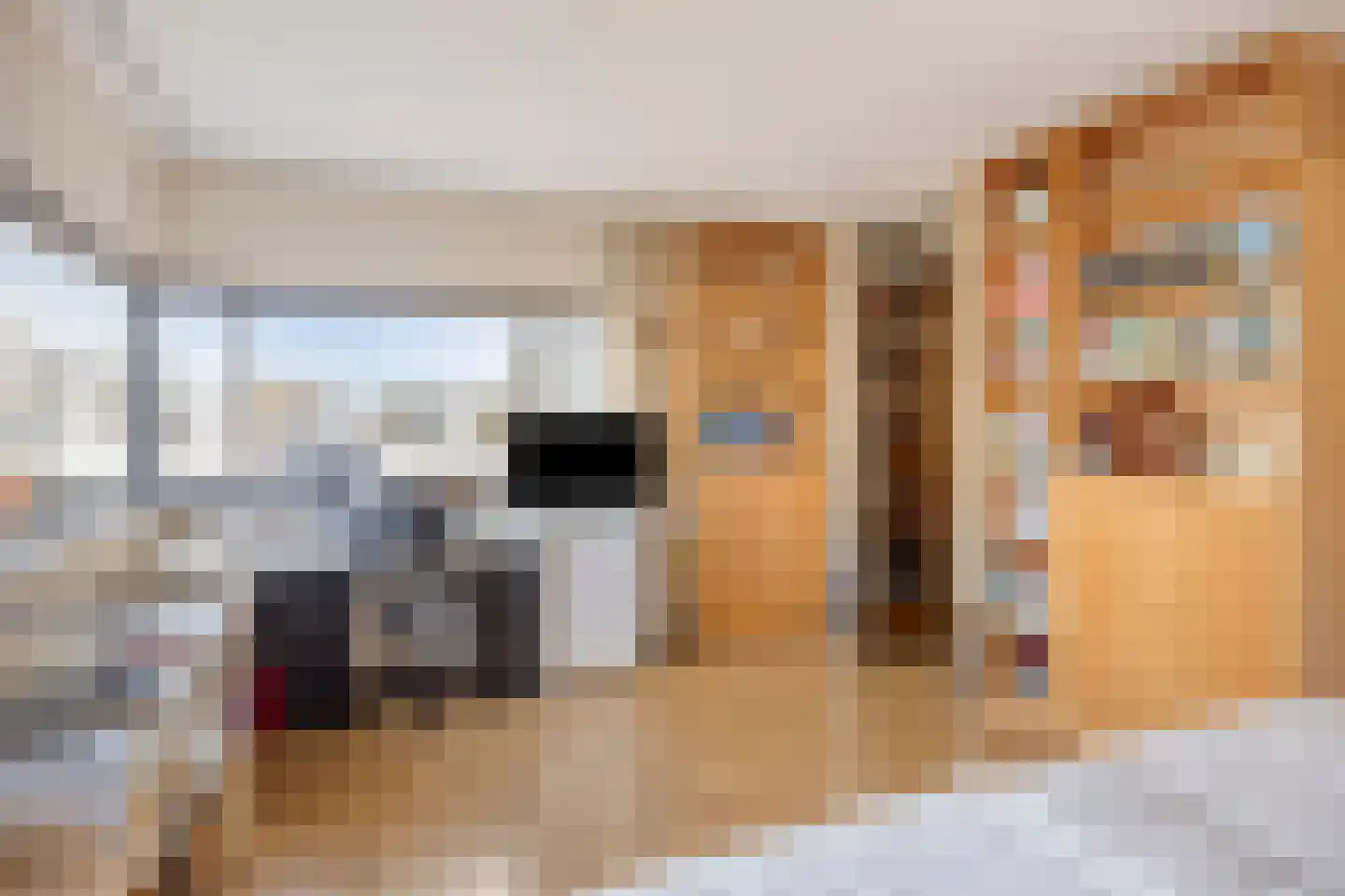 D. Schellincxstraat 31 Spijkenisse thumbnail 34